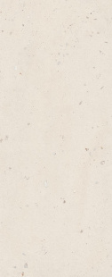 Керамогранит Imola Ceramica Suite Stone Shell N (60x120) арт. Shell612
